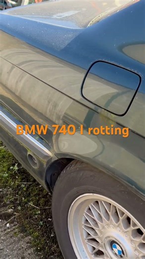 BMW 740i left in a garden