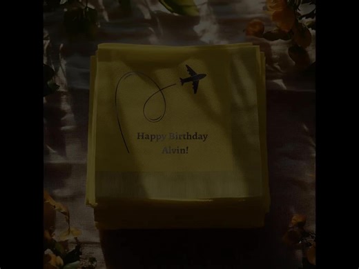 Airplane Birthday Napkins: Custom Foil Stamped Party Decor - Etsy