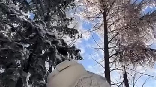 VID_20251202_153032_208.mp4