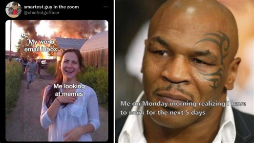 Share A Work Meme With Your Coworker Today