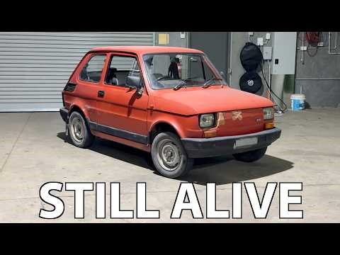 Wait, Tony is still alive??