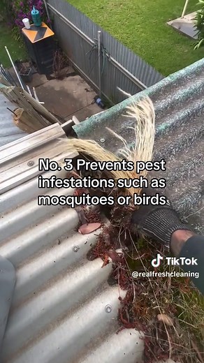 When the sun is rising and birds are chirping, we are out working on getting your gutters unblocked and flowing. 🦅 🍁 #guttercleaning #cleaningservices #exteriorcleaning