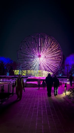 Chicago botanic light show 2025. Sound on for full effect. #chicagobotanicgarden #christmaslightshow #iphonephotography #p1xelsart | Irene Marchuk Oleksiuk