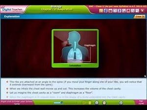 Breathing - Mechanism of Respiration in human Being, Class 10 Biology