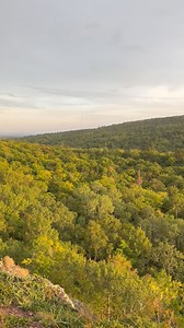 1.1K views · 30 reactions | Here is the fall color update you have all been asking for! It’s out there but not a lot yet!! It’s early!   | Fletchy’s Otter Belly Lodge | Facebook