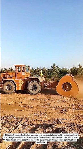 Massive Sheepsfoot Roller Crushes Soil for Perfect Ground Compaction