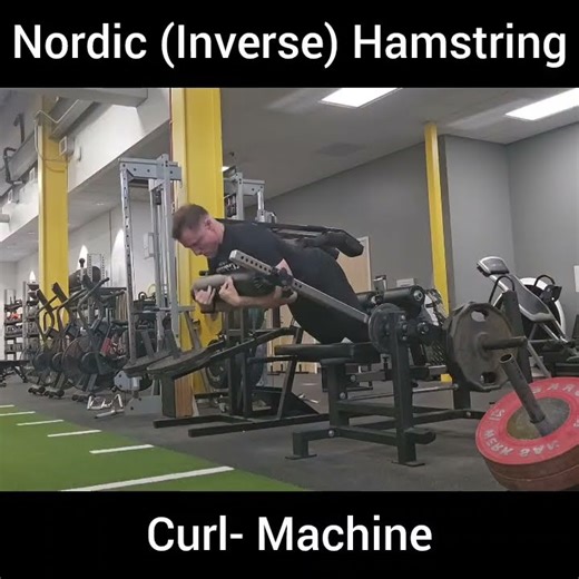 Nordic (Inverse) Hamstring Curl- Machine