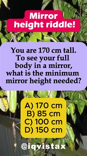 🪞 Mirror Height to See Full 170 cm Body? #shorts #iqvistax