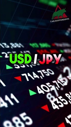 forex trading currency pairs explained for beginners #trading