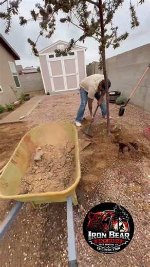 Servicing The State Of New Mexico #treeremoval #newmexico #tree