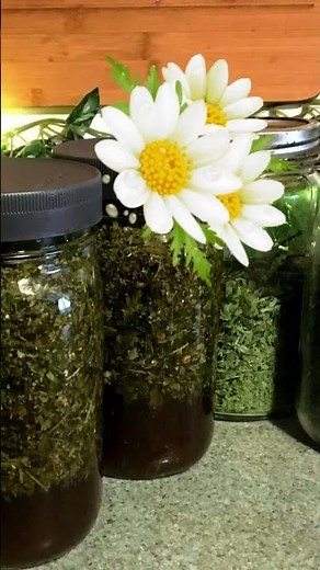 Feverfew for Pain and Inflammation