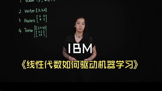 IBM《线性代数如何驱动机器学习》中英字幕（LLM）
