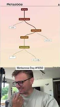 Metazooa Day #1050