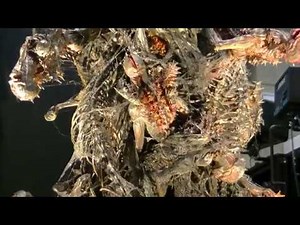 Shin Godzilla - Form 5 シン・ゴジラ 第5形態雛形 @ (WF2017W) Wonder Festival 2017 Winter