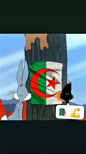 تحيا الجزائر ❤️😭🍒🇩🇿🇩🇿