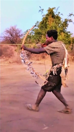 A Loud Roar Stopped Them in the Jungle… What They Saw Was Unexpected | Wildlife Education