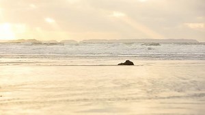 People Riding Horses Gallop On Beach Stock Footage Video (100% Royalty-free) 1021063630 | Shutterstock