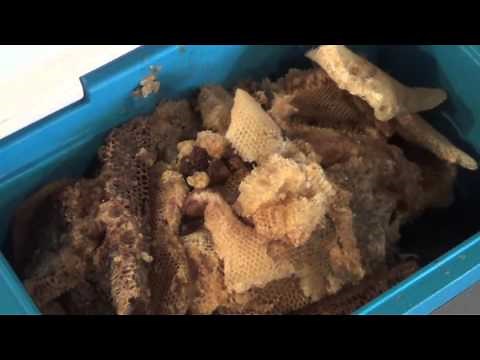 Processing honey comb from a cut out