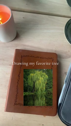 Weeping willow trees are so magical #howtodraw #youcandraw #drawingtutorial #howtodrawatree