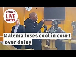 Julius Malema blames magistrate for 'always arriving late' at firearm court case