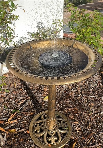 Self-Care Essentials: Bird Bath and Solar Water Feature