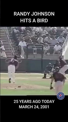 Randy Johnson hits a bird 🕊️