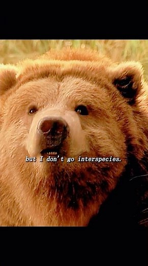 🐻 Dr. Dolittle Meets Ava: The First Encounter That Saves the Forest! #aliandava #adlv #vivienne