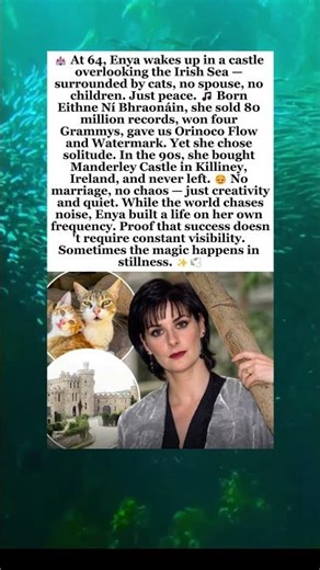 Enya's Quiet Life at 64 in Irish Castle With Her Cats #enyaguitar #orinocoflow #manderleycastle