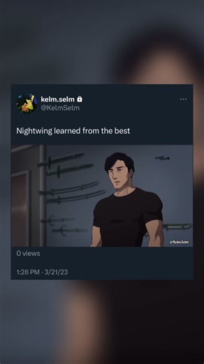 Nightwing and Robin Team Leadership Dynamics Explained