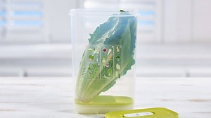 Have you seen our fresh, new FridgeSmart® Vertical? Shop US - http://bit.ly/2HGtzjS Shop CA - http://bit.ly/2JyFC4C | Tupperware U.S. & Canada