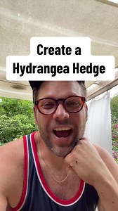 295K views · 6.3K reactions | If you want to create a hedge using...