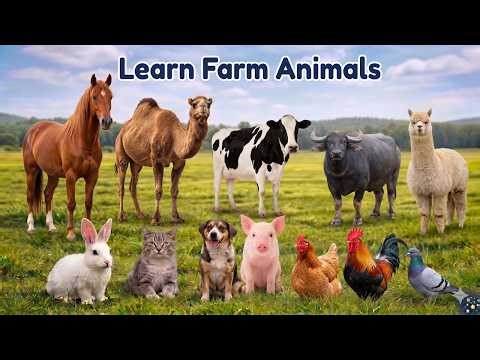 Learn Cute Farm Animal Names & Sounds 🐱🐮🐑 | Cat, Cow, Elephant, Lion, Dog, & Sheep Sounds for Kids
