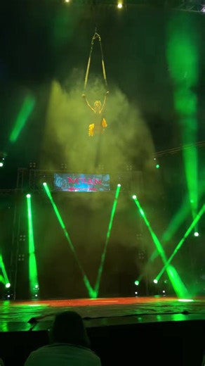 Circus Failure#funny #funnyvideos #fyp #failure #fail | circus fails