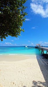 57K views · 6K reactions | Nature turns a beach in to a sanctuary #beach #beachvibes #tropicalparadise #thetraveller | The Traveller | Facebook