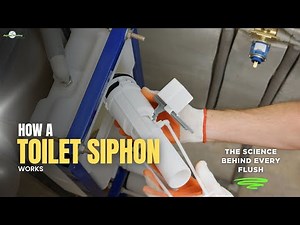 How a Toilet Siphon Works | The Science Behind Every Flush