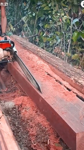 Intelligent techniques for operating a wood splitting saw machine #shorts