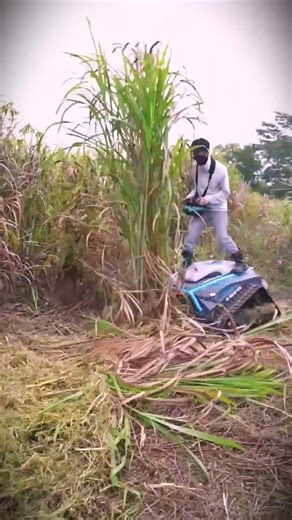 Modern machines farmers use for cutting grass #shorts