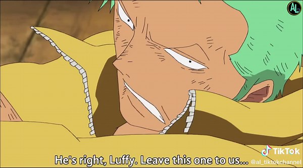 "Shut up! I'm your captain!" - Luffy #onepiece #onepieceanime #onepiec... | Luffy And Zoro