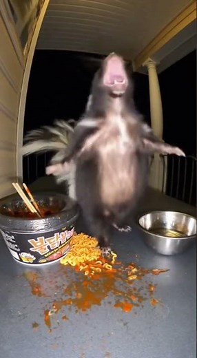 Skunk Meets SPICY NOODLES For The First Time! 🌶️😱