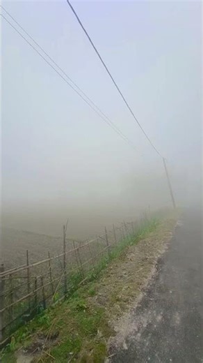 #foggyweather in #villege_life very #cold 0 #visiability #beautyful enjoy life.
