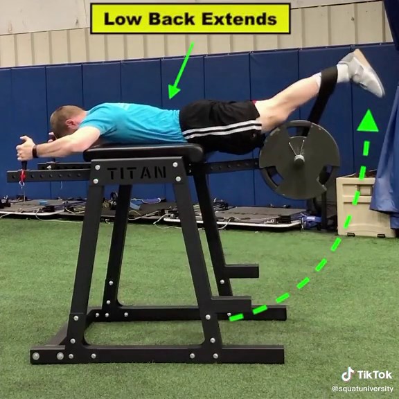 Ultimate Guide to Reverse Hyper Training for Powerlifting and Weightlifting