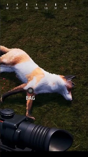 EPIC Legendary Fox Hunt - Hunting Simulator 2
