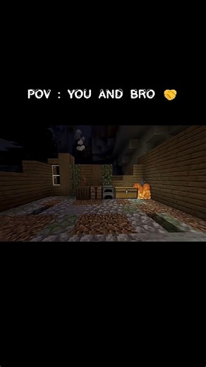 POV : YOU AND BRO #minecraft #memes #viral