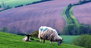 71 amazing things you might not know about Gloucestershire