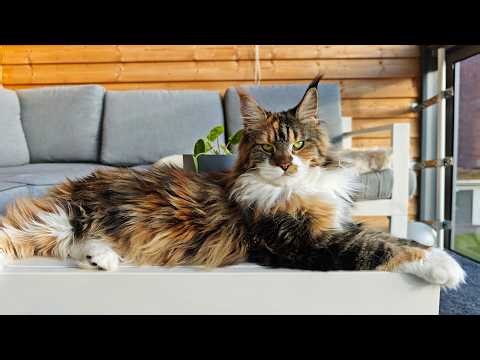 Big Sister Iris Comes to Visit!