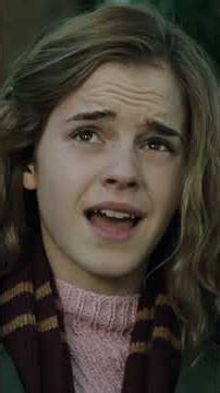 How Hermione Granger Changed the Wizarding World Forever | Harry Potter Explained in Hindi