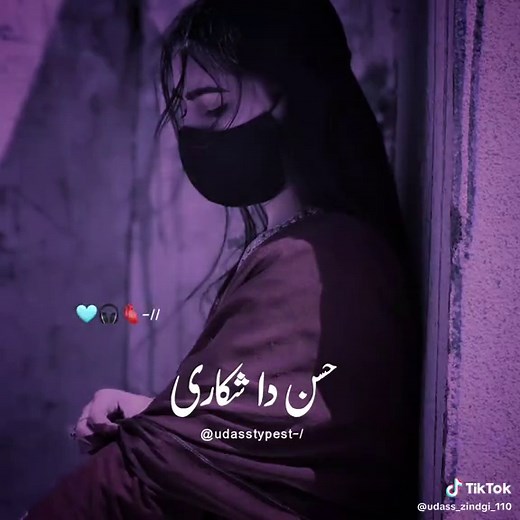 Husan Da Shikari Full Song | Shikari Yaar | Siraki Song