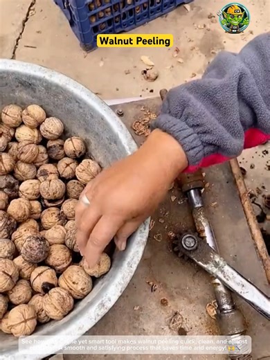 Effortless Walnut Peeling Tool 🌰✨