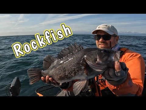 Sekiu 1: Rockfish Redemption