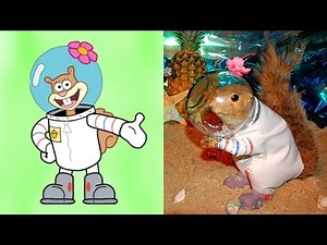 SpongeBob SquarePants Characters in Real Life